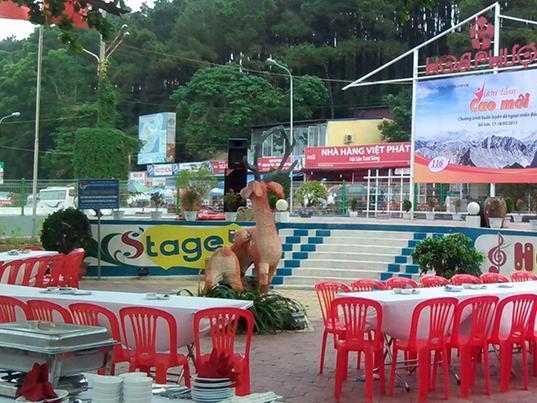 Hoa Phuong Hotel Hai Phong Bagian luar foto